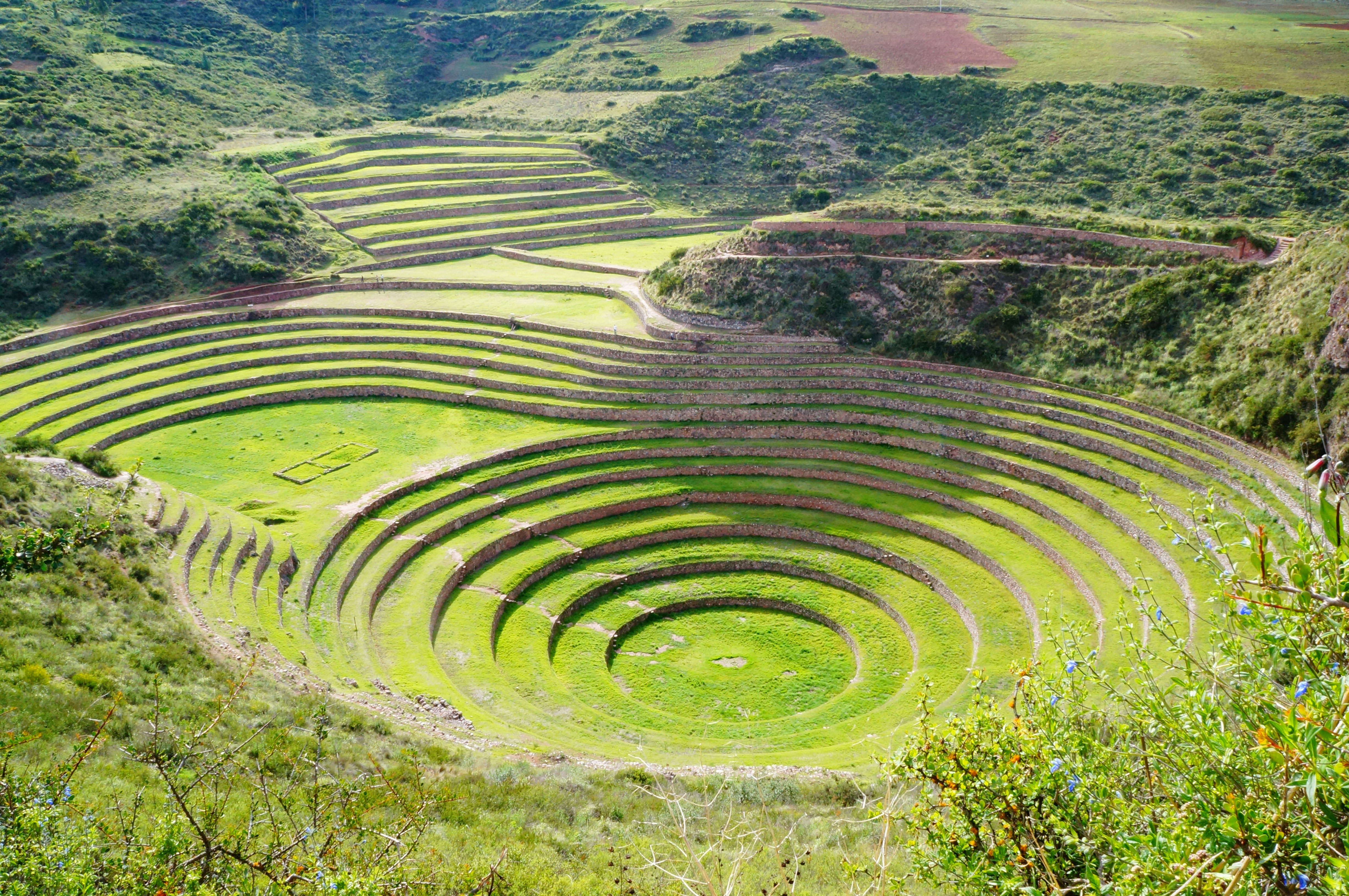 maras moray