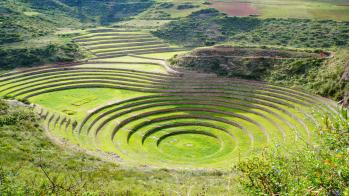 maras moray